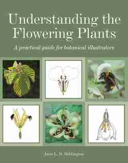Understanding The Flowering Plants: A Practical Guide For Botanical Illustrators by Anne L. D. Bebbington