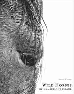 Wild Horses Of Cumberland Island by Anouk Masson Krantz