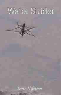 Water Strider by Karen Hofmann