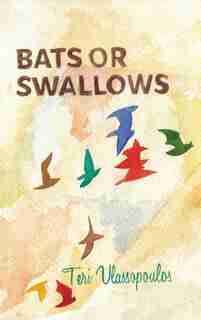 Bats Or Swallows by Teri Vlassopoulos