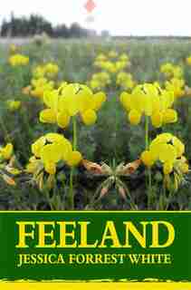 FEELAND by Jessica Forrest White