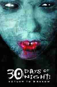 30 Days Of Night: Return To Barrow by Steve Niles