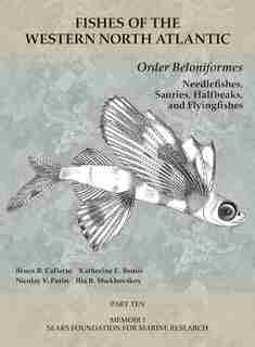 Order Beloniformes: Needlefishes, Sauries, Halfbeaks, And Flyingfishes: Part 10 by Bruce B. Collette