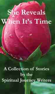 She Reveals When It's Time: A Collection Of Stories By The Spiritual Journey Writers by Spiritual Journey Writers