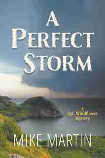 A Perfect Storm by Mike Martin