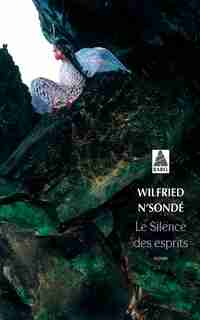 LE SILENCE DES ESPRITS by Wilfried N'Sondé