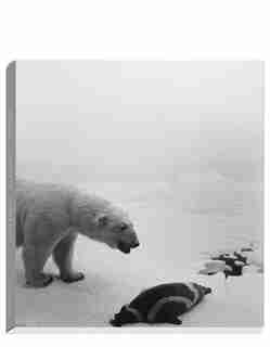 Dioramas by Hiroshi Sugimoto