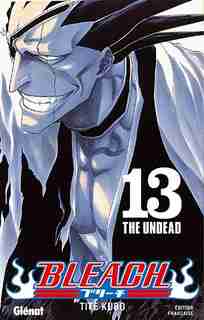 Bleach volume 13 by Taito Kubo