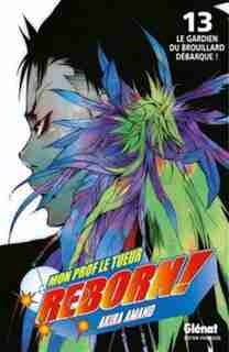 Reborn 13 by Amano