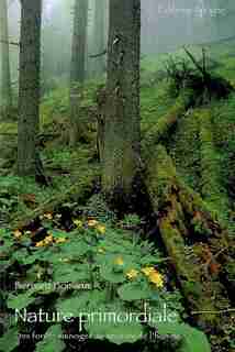 Nature primordiale by Bernard Boisson