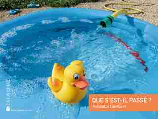 Que s'est-il passé? by Nicolette Humbert