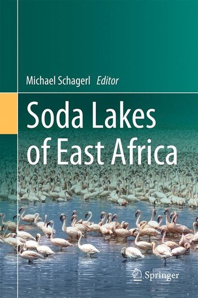 Soda Lakes Of East Africa by Michael Schagerl