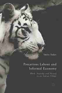 Precarious Labour And Informal Economy: Work, Anarchy, And Society In An Indian Village by Smita Yadav