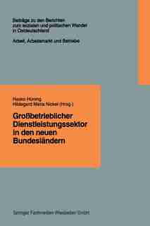 Großbetrieblicher Dienstleistungssektor in den neuen Bundesländern: Finanzdienstleistungen, Einzelhandel, Krankenpflege by Hasko Hüning