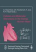 Cellular and Molecular Alterations in the Failing Human Heart by Hansj Just Paperback | Indigo Chapters