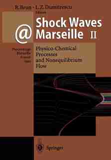 Shock Waves @ Marseille II: Physico-chemical Processes And Nonequilibrium Flow Proceedings Of The 19th International Symposium by Raymond Brun