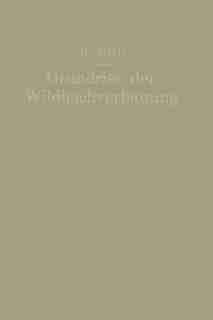 Grundriß der Wildbachverbauung by Georg Strele