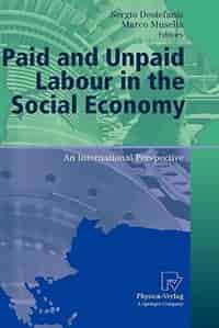 Paid and Unpaid Labour in the Social Economy: An International Perspective by Sergio Destefanis