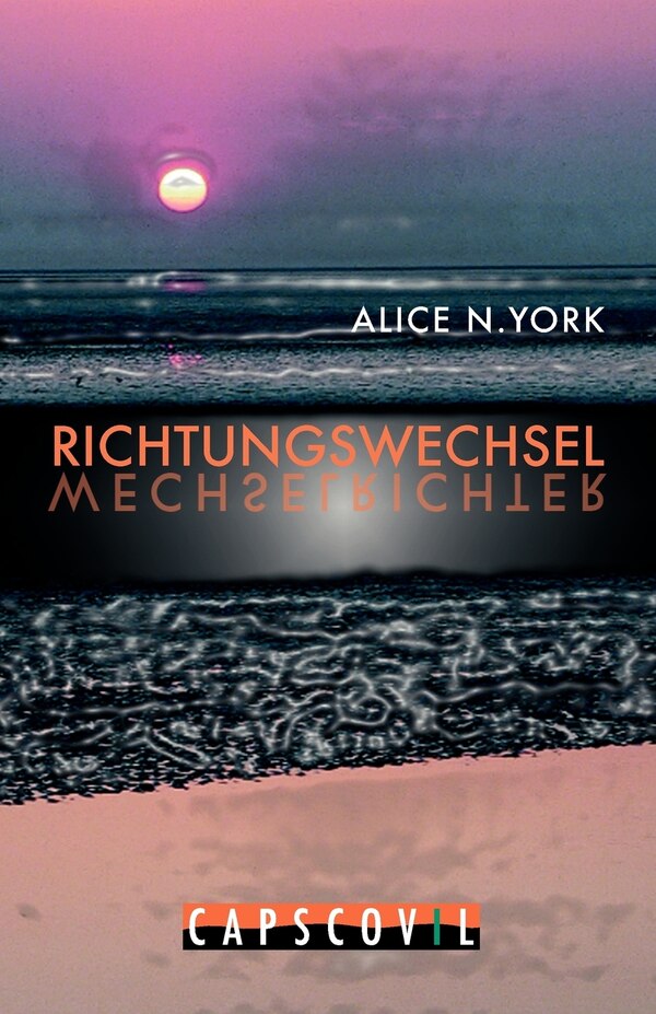 Richtungswechsel Paperback | Indigo Chapters