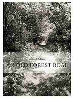 Robert Adams: An Old Forest Road by Thomas Zander
