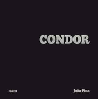 Condor by João Pina