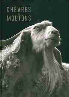 Chèvres ou moutons by Kevin Horan