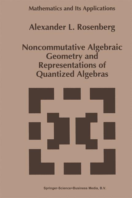 Noncommutative Algebraic Geometry and Representations of Quantized Algebras by A. Rosenberg Paperback | Indigo Chapters