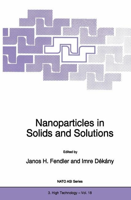 Nanoparticles in Solids and Solutions by Janos H. Fendler Paperback | Indigo Chapters