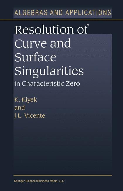 Resolution of Curve and Surface Singularities in Characteristic Zero by K. Kiyek Paperback | Indigo Chapters