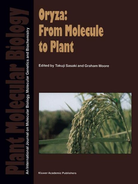 Oryza: From Molecule To Plant by Takuji Sasaki