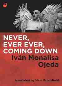 Never, Ever Ever, Coming Down by Iván Monalisa Ojeda