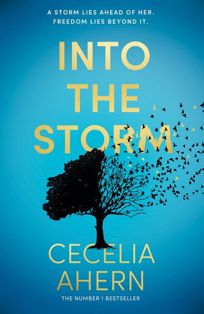 Into the Storm by Cecelia Ahern, Hardcover | Indigo Chapters