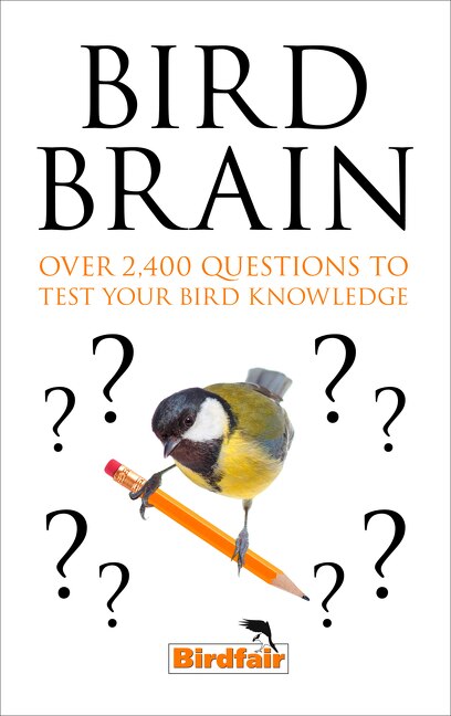Bird Brain by Nocontributor, Paperback | Indigo Chapters