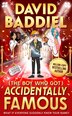 The Boy Who Got Accidentally Famous by David Baddiel, Perfect | Indigo Chapters