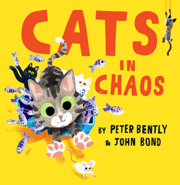 Cats In Chaos by Peter Bently, Perfect | Indigo Chapters