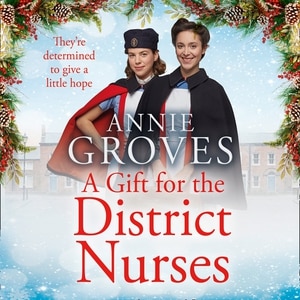 A Gift for the District Nurses by Annie Groves, Audio Book (CD) | Indigo Chapters