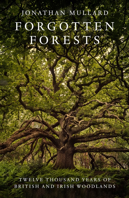 Forgotten Forests by Jonathan Mullard, Hardcover | Indigo Chapters