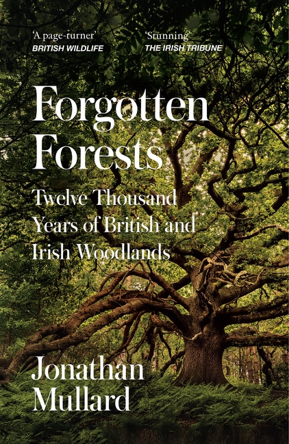 Forgotten Forests by Jonathan Mullard, Perfect | Indigo Chapters