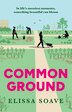 Common Ground by Elissa Soave, Hardcover | Indigo Chapters
