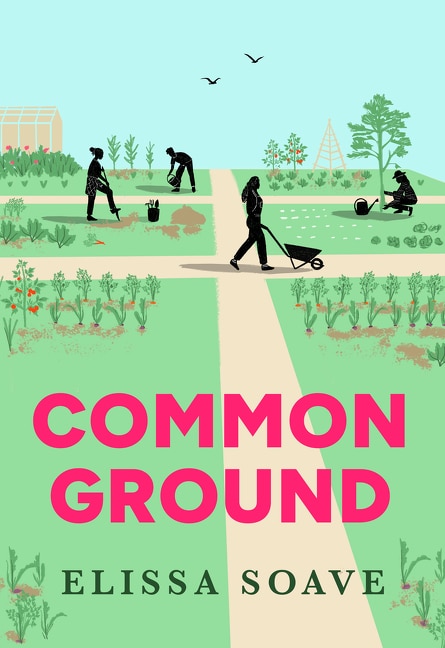 Common Ground by Elissa Soave, Hardcover | Indigo Chapters