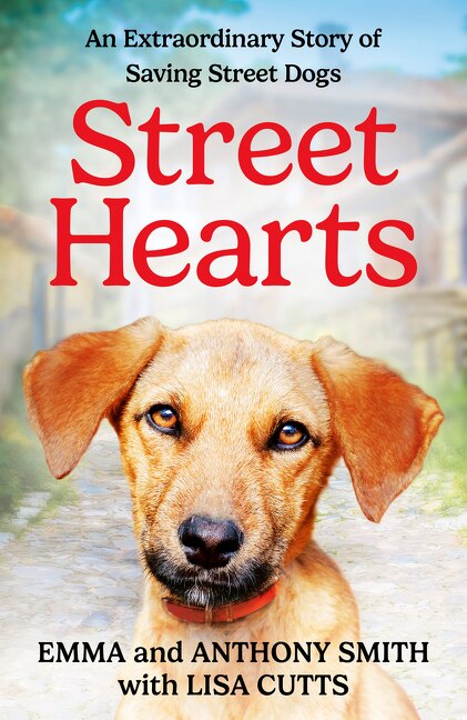 Street Hearts by Emma Smith, Hardcover | Indigo Chapters