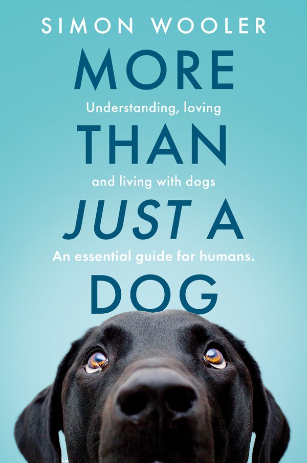 More Than Just a Dog: Understanding loving and living with dogs. An essential guide for humans by Simon Wooler, Perfect | Indigo Chapters