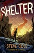 Shelter by Steve Cole, Perfect | Indigo Chapters