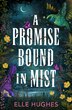 A Promise Bound in Mist by Elle Hughes, Perfect | Indigo Chapters