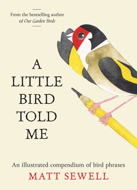 A Little Bird Told Me by Matt Sewell, Hardcover | Indigo Chapters