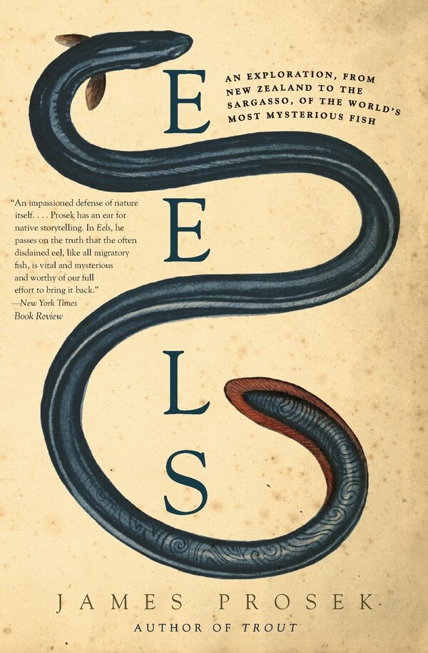 Eels by James Prosek, Paperback | Indigo Chapters