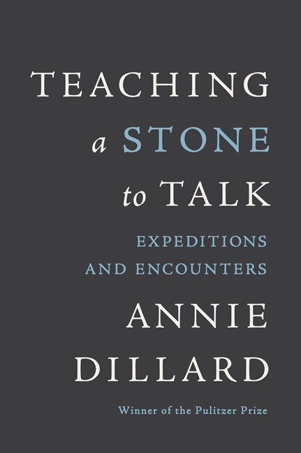 Teaching a Stone to Talk by Annie Dillard, Paperback | Indigo Chapters