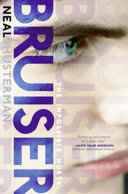 Bruiser by Neal Shusterman, Hardcover | Indigo Chapters