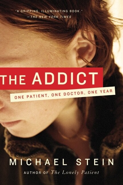 The Addict by Michael Stein, Paperback | Indigo Chapters