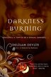 Darkness Burning by Delilah Devlin, Paperback | Indigo Chapters